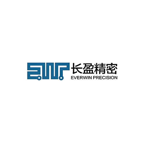 SMP (Everwin Precision) logo. Blue stylized letters "SMP" followed by the company name in Chinese characters and "EVERWIN PRECISION" in English.